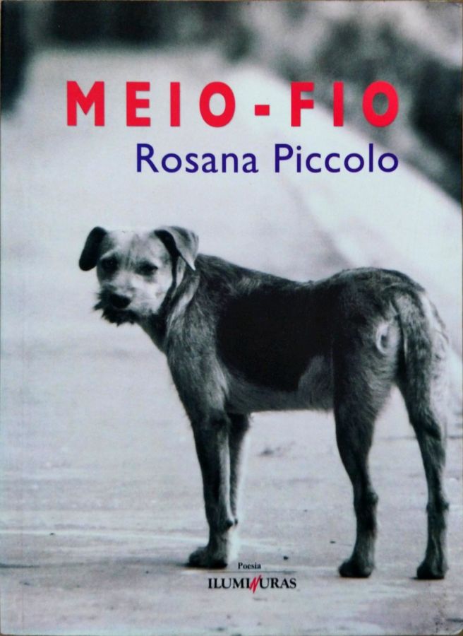 <a href="https://www.touchelivros.com.br/livro/meio-fio/">Meio-fio - Rosana Piccolo</a>