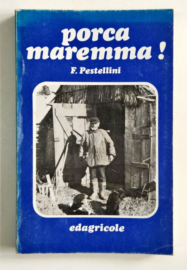 Porca Maremma - F. Pestellini
