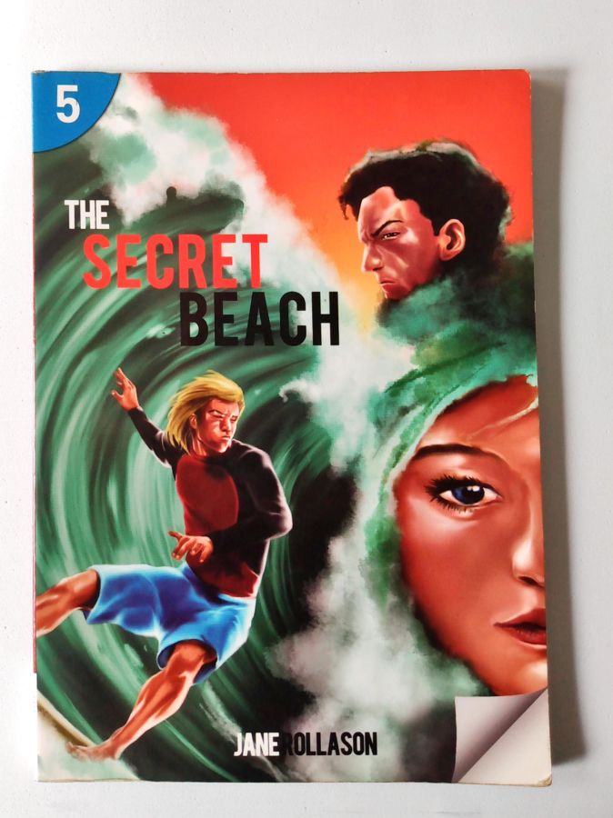The Secret Beach - Jane Rollason