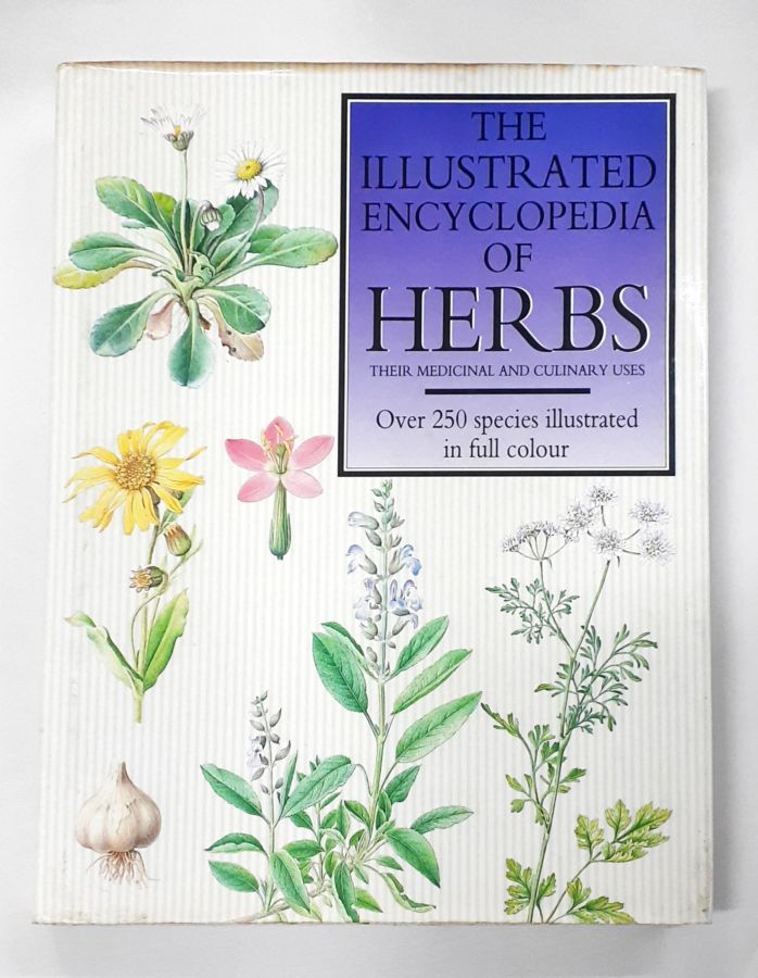 <a href="https://www.touchelivros.com.br/livro/the-illustrated-encyclopedia-of-herbs/">The Illustrated Encyclopedia of Herbs - Vários Autores</a>