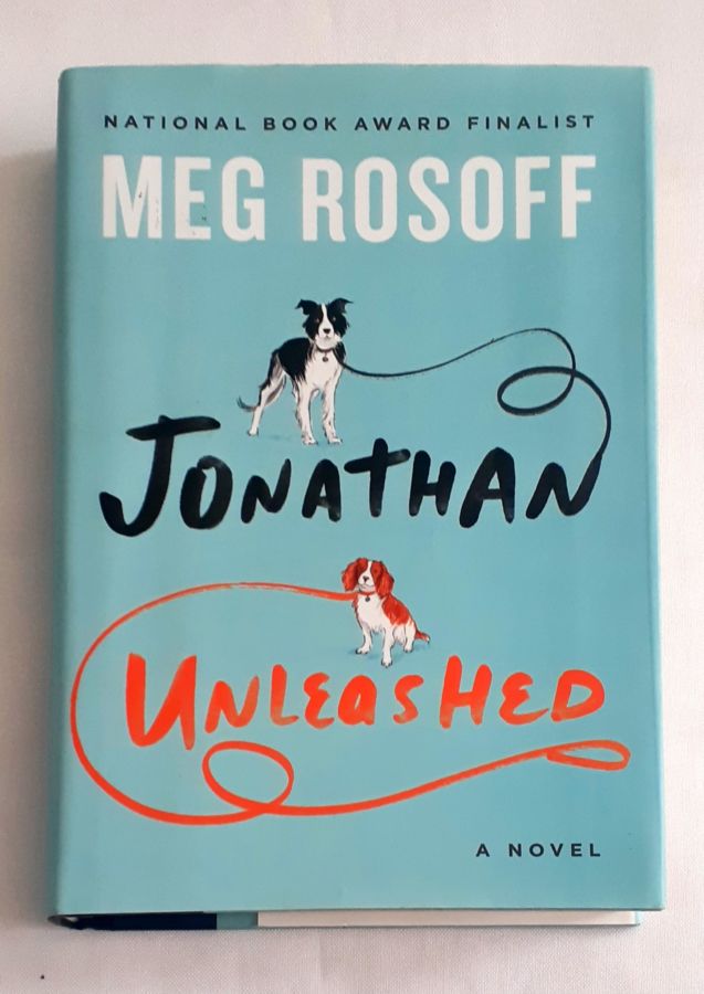 <a href="https://www.touchelivros.com.br/livro/jonathan-unleashed/">Jonathan Unleashed - Meg Rosoff</a>