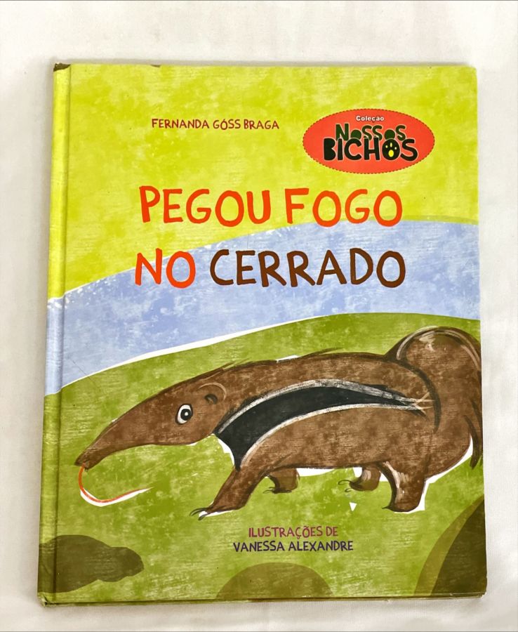 <a href="https://www.touchelivros.com.br/livro/pegou-fogo-no-cerrado/">Pegou Fogo no Cerrado - Fernanda Góss Braga</a>
