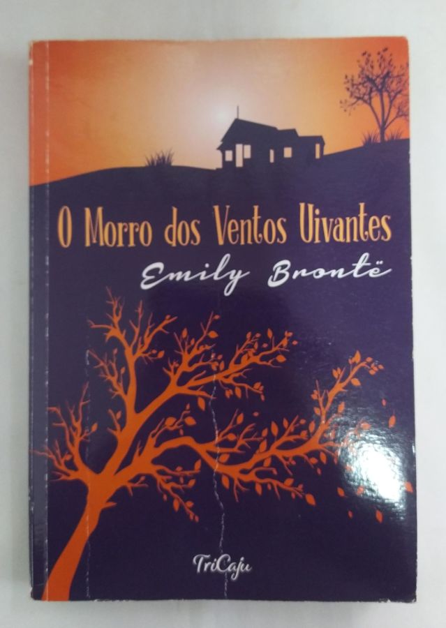 <a href="https://www.touchelivros.com.br/livro/o-morro-dos-ventos-uivantes-3/">O Morro dos Ventos Uivantes - Emily Brontë</a>