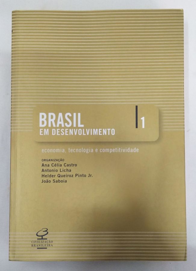 <a href="https://www.touchelivros.com.br/livro/brasil-em-desenvolvimento-vol-1/">Brasil em Desenvolvimento – Vol. 1 - Ana Célia Castro</a>