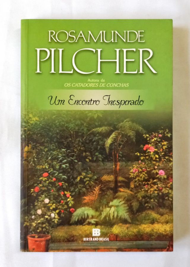 <a href="https://www.touchelivros.com.br/livro/um-encontro-inesperado/">Um Encontro Inesperado - Rosamunde Pilcher</a>