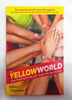 <a href="https://www.touchelivros.com.br/livro/the-yellow-world/">The Yellow World - Albert Espinosa</a>