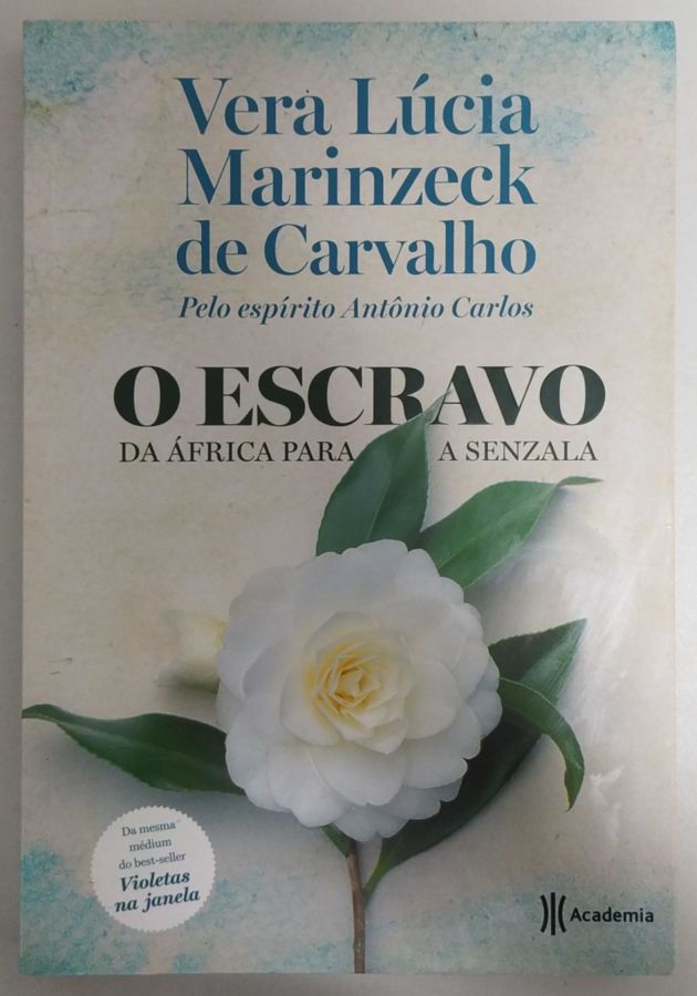 <a href="https://www.touchelivros.com.br/livro/o-escravo/">O Escravo - Vera Lúcia Marinzeck de Carvalho</a>