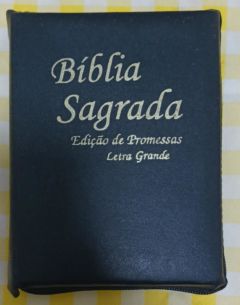 <a href="https://www.touchelivros.com.br/livro/biblia-sagrada-21/">Bíblia Sagrada - Não Consta</a>