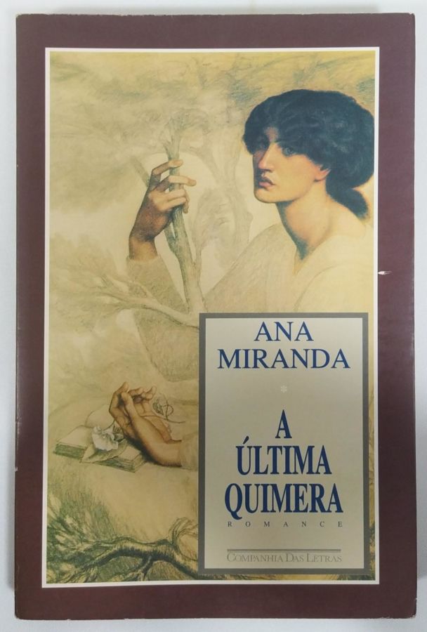 <a href="https://www.touchelivros.com.br/livro/a-ultima-quimera/">A Última Quimera - Ana Miranda</a>
