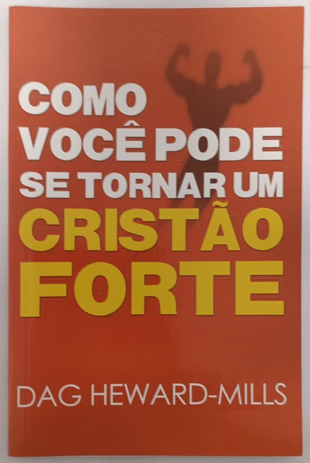 Os Santos Também Riem - José de Oliveira Santos