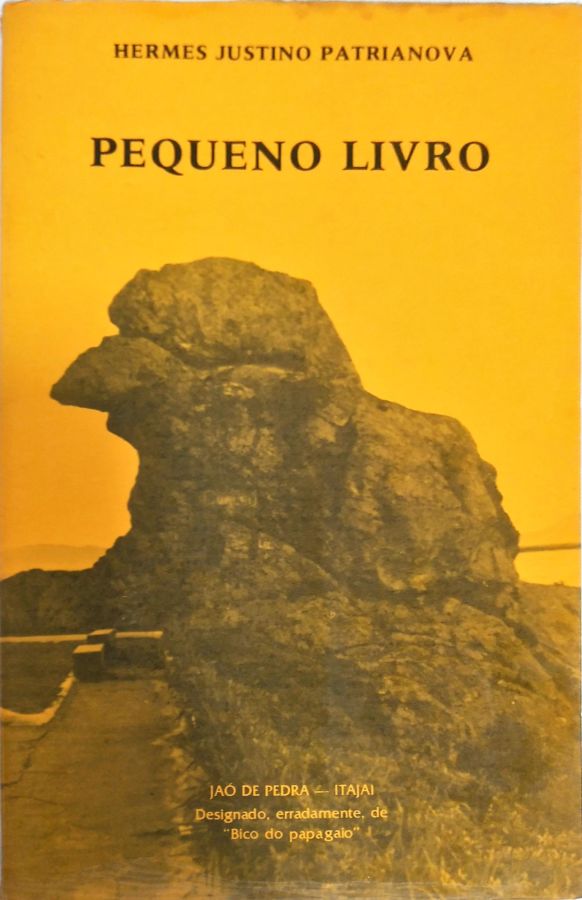 <a href="https://www.touchelivros.com.br/livro/pequeno-livro/">Pequeno Livro - Hermes Justino Patrianova</a>