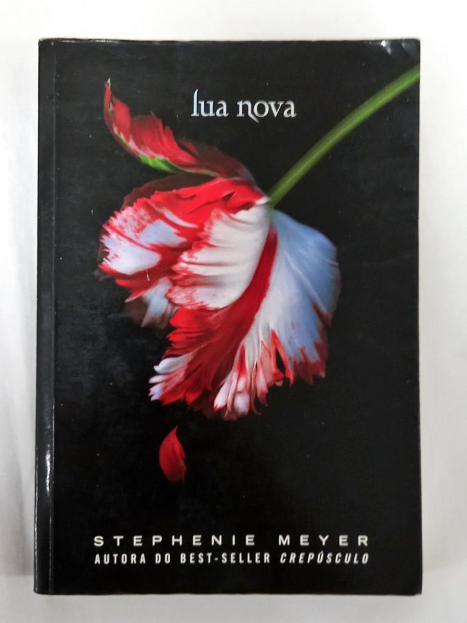 <a href="https://www.touchelivros.com.br/livro/lua-nova-5/">Lua Nova - Stephenie Meyer</a>