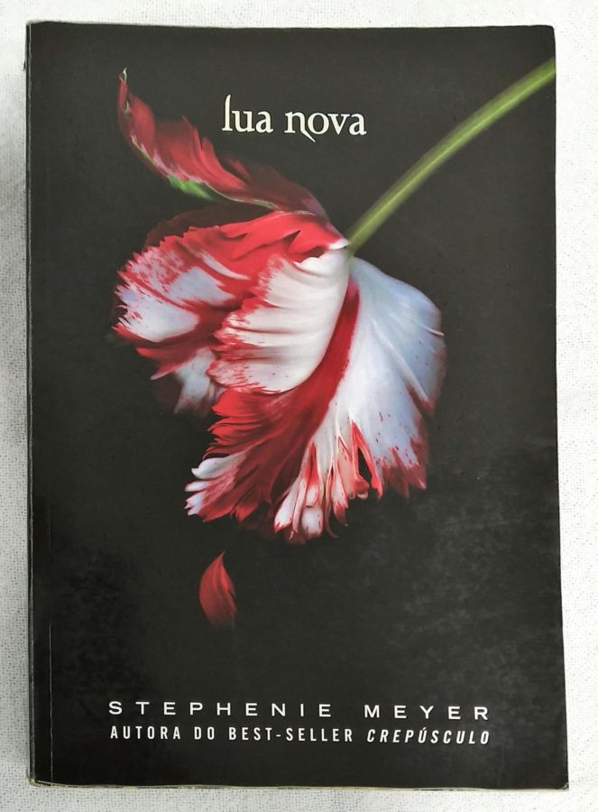 <a href="https://www.touchelivros.com.br/livro/lua-nova-6/">Lua Nova - Stephenie Meyer</a>