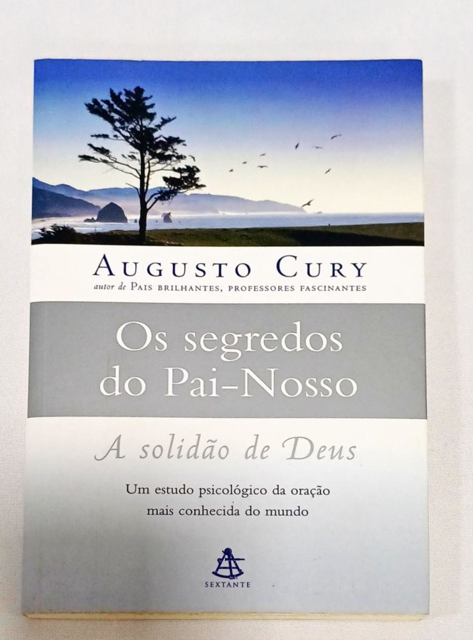 Você É Insubstituível - Augusto Cury