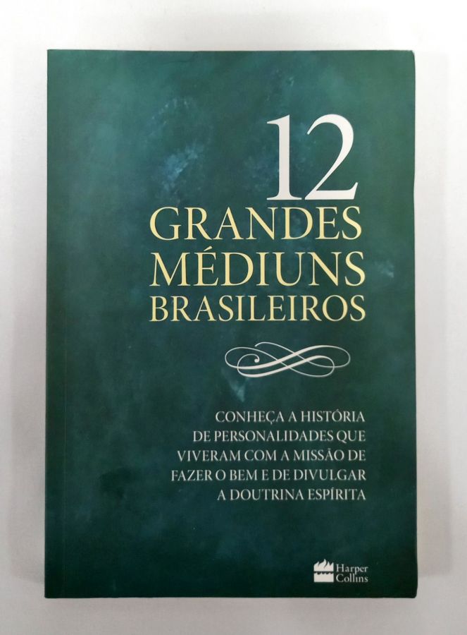 <a href="https://www.touchelivros.com.br/livro/12-grandes-mediuns-brasileiros/">12 Grandes Médiuns Brasileiros - Daniela Hirsch</a>