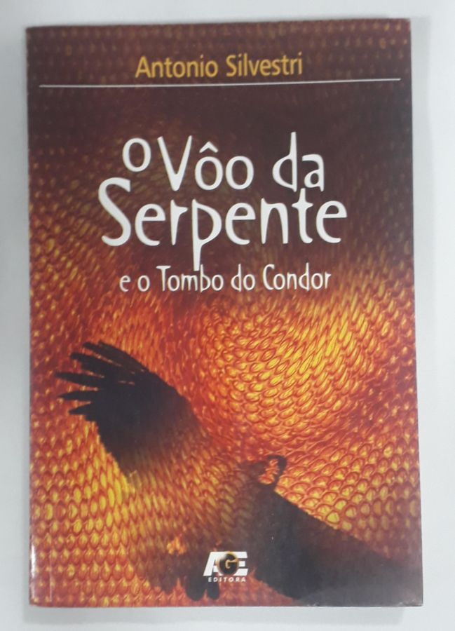 <a href="https://www.touchelivros.com.br/livro/o-voo-da-serpente-e-o-tombo-do-condor/">O Voo Da Serpente E O Tombo Do Condor - Antonio Silvestri</a>