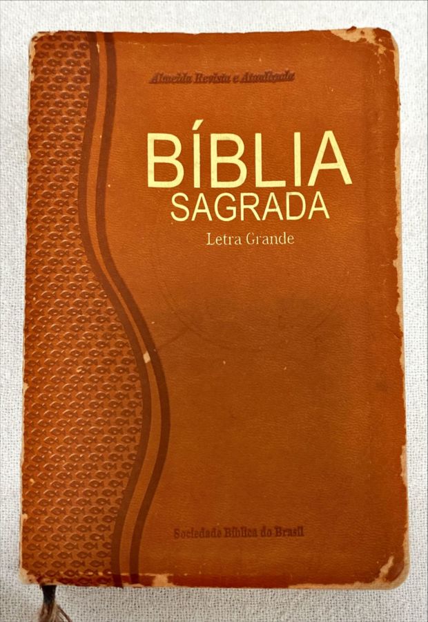 <a href="https://www.touchelivros.com.br/livro/biblia-sagrada-38/">Bíblia Sagrada - Vários Autores</a>