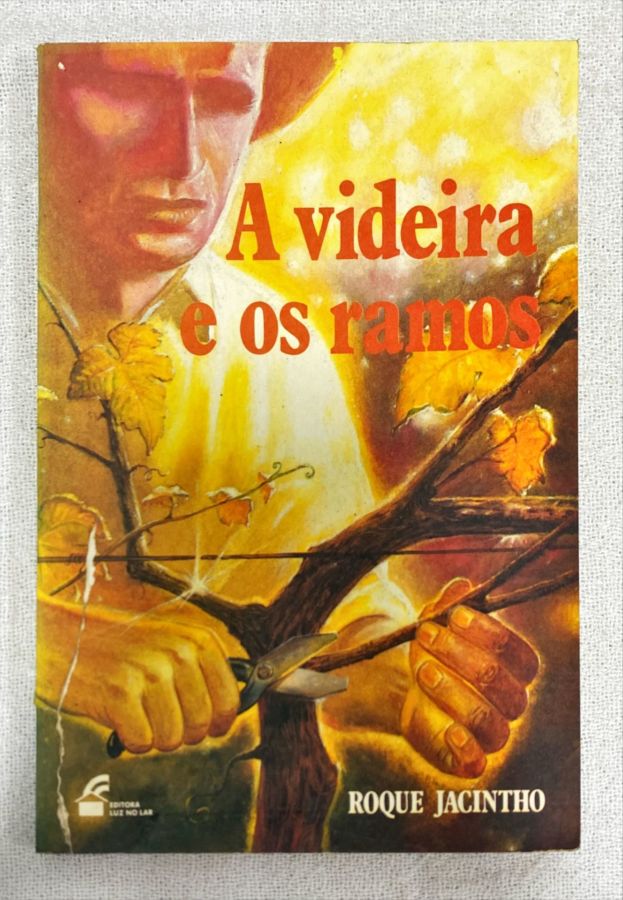 <a href="https://www.touchelivros.com.br/livro/a-videira-e-os-ramos-3/">A Videira E Os Ramos - Rque Jacintho</a>