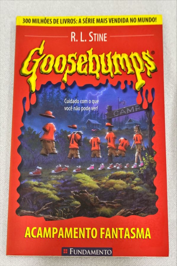 <a href="https://www.touchelivros.com.br/livro/goosebumps-acampamento-fantasma-vol-2/">Goosebumps – Acampamento Fantasma – Vol. 2 - R. L. Stine</a>